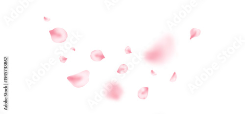 Spring cherry blossom wave. Sakura petal flying composition. Japan flower banner. Cosmetic beauty product. Natural decoration. Spa pink rose bg. Valentine romantic card. Vector illustration