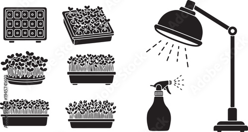 Plant seedlings and care tools in black and white