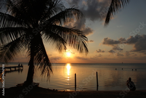 Принти на полотні Sunset with Palm Tree in Caye Caulker, Belize – Caribbean Tropical Beach