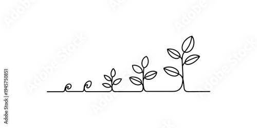 Continuous line drawing illustrating the stages of plant growth from seed to mature seedling Vector, illustration