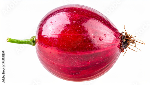 Single red onion with green stem and rootlets on white background