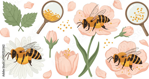 Detailed Bees Pollinating Flowers with Pollen, Magnifying Glass, Petals, and Leaves Botanical Pollination Study Nature Vector Illustration Collection