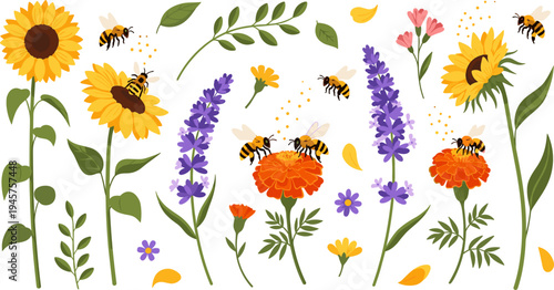 Cute Cartoon Bees Pollinating Sunflowers, Lavender, and Wildflowers with Leaves, Petals, and Blooming Garden Plants Spring Nature Vector Illustration Set