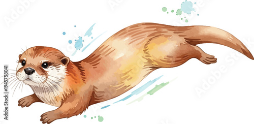 A playful otter is depicted in a dynamic pose, surrounded by colorful watercolor splashes.