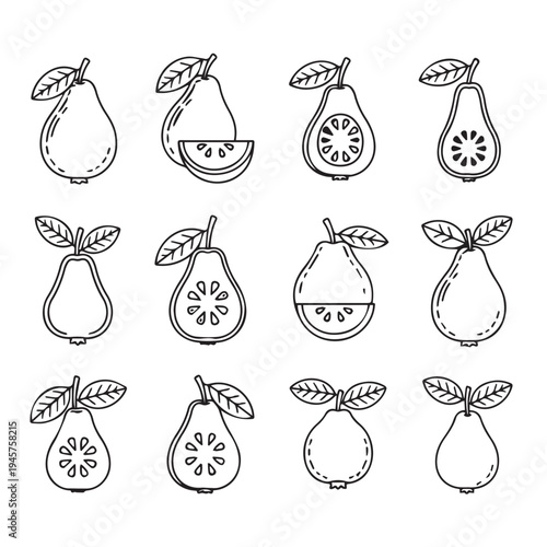 Pear Fruit Collection Icon Set Outline Vector Illustration