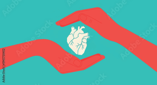 Hands protecting human anatomical heart, cardiovascular health care and insurance concept illustration