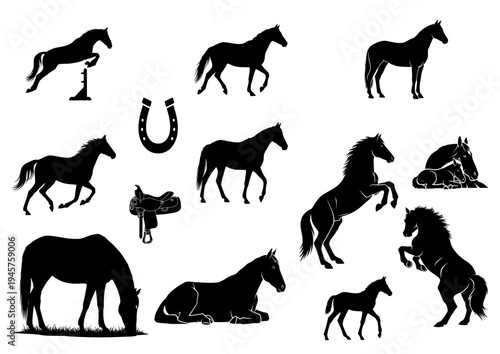 Black Horse Silhouette Set Featuring Various Poses Jumping Galloping Rearing and Equestrian Equipment Isolated on White Background