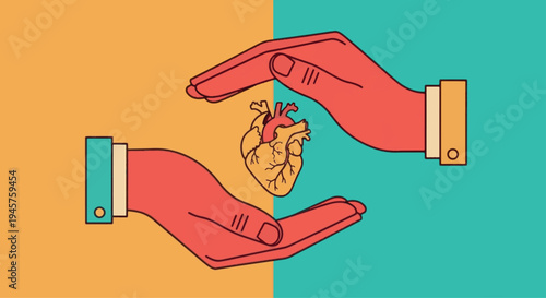 Hands protecting human anatomical heart, health insurance and cardiovascular care concept illustration