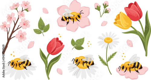 Cute Cartoon Bees Pollinating Tulips, Daisies, and Cherry Blossom Flowers with Leaves and Petals Spring Garden Nature Vector Illustration Set