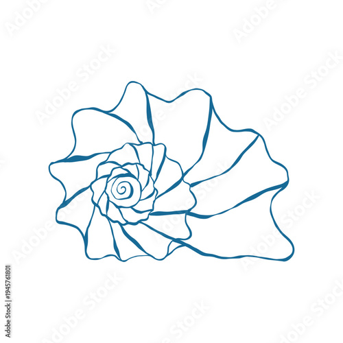 Seashell in doodle style. Sea snail shell in blue. Twisted spiral shell. Hand drawn vector outline illustration isolated on white background.