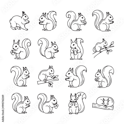 Set of cute cartoon squirrel illustrations in various poses and actions line art style