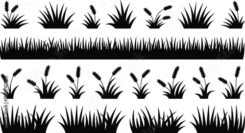 Grass silhouettes collection, plant vector art, nature outline design, wild blades illustration, landscaping graphic, meadow clumps seed heads foliage