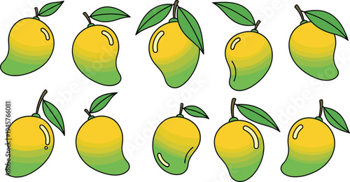Fresh Mango Fruit Vector Set with Green Leaves Tropical Sweet Mango Illustration Collection for Healthy Food Design Summer Juice Menu and Organic Produce
