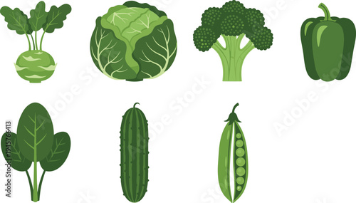 Green vegetable collection including cabbage broccoli bell pepper cucumber peas and leafy greens healthy organic food vector illustration