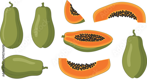 Papaya Fruit Vector Set with Whole and Sliced Pieces Tropical Food Illustration Collection with Seeds Fresh Organic Fruit Design for Healthy Nutrition Graphics