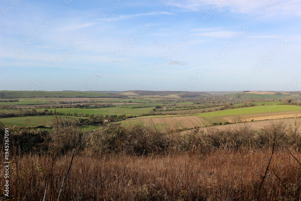 Fototapeta premium Panoramic View of Rolling Green Hills and Agricultural Fields in the English Countryside Under a Clear Blue Sky