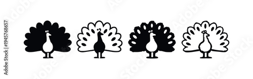 Stylized peacock icon set. Black silhouette and outline of a proud bird with tail feathers on a white background. Vector illustration.