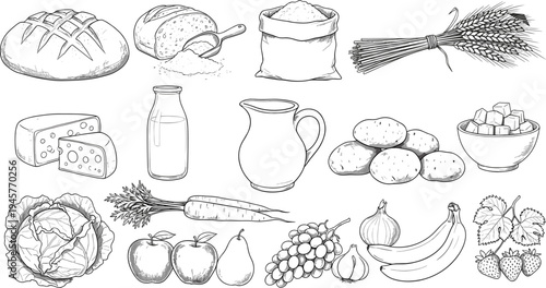 Bread loaf illustration, flour sack, wheat stalks, cheese blocks, milk bottle, sugar cubes, vegetables, fruits, grapes, bananas, strawberries, garlic