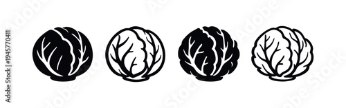 Hand-Drawn Chinese Cabbage and Romaine Lettuce Icons Set. Doodle Style Vegetable Vector Graphics.