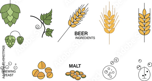 Beer brewing ingredients vector set with hops, barley, wheat, malt and yeast icons illustration for brewery, craft beer production concept design