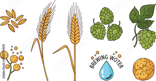 Beer brewing ingredients vector illustration set with barley, wheat, hops, yeast, malt and brewing water for craft brewery production design