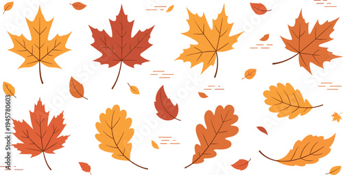 Autumn fall leaves collection with maple and oak foliage in warm orange and red colors, seasonal nature botanical illustration set