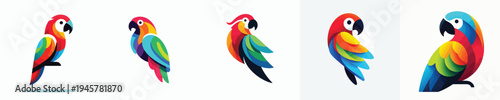 a collection of cute parrot vectors