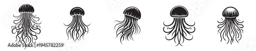 jellyfish vector with silhouette style