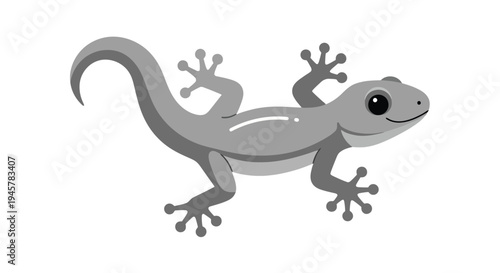 Cute Grey Gecko Lizard Illustration on White Background.