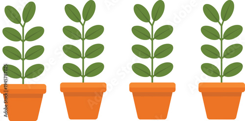 Green leaf houseplant vector icon set in orange clay pots for home garden decoration interior design and botanical growth concepts.