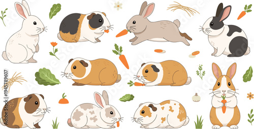Cute Rabbit and Guinea Pig Cartoon Vector Set with Different Small Pet Animals Eating Carrots Sitting and Playing with Garden Elements