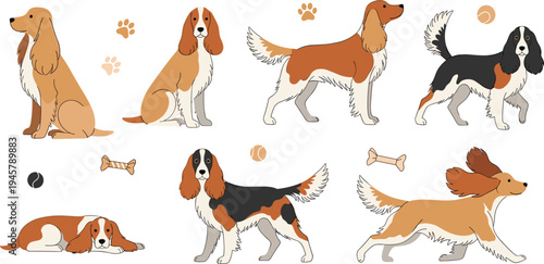Cute Spaniel Dog Cartoon Vector Set with Different Poses Running Sitting Standing and Playing with Bone Toy and Paw Print Elements