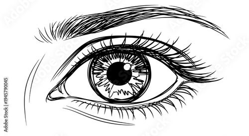 Realistic black and white hand-drawn human eye illustration, detailed anatomical sketch of an open eye with lashes and eyebrow.