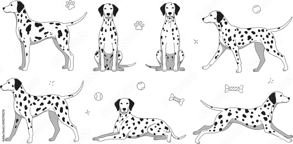 Fototapeta premium Dalmatian Dog Cartoon Vector Set with Different Poses Sitting Standing Running and Lying with Spots Paw Prints and Bone Elements