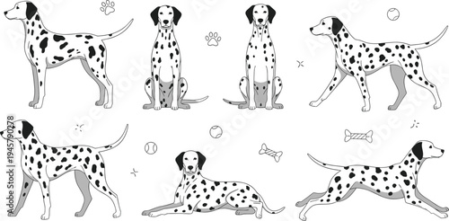Dalmatian Dog Cartoon Vector Set with Different Poses Sitting Standing Running and Lying with Spots Paw Prints and Bone Elements
