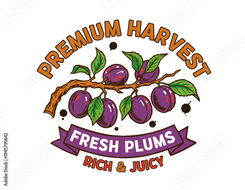 Eat well live well. Plums local farm. Purple plums vintage t-shirt design. Organic fruit farm. Plums fruit artwork for t shirt print, poster.