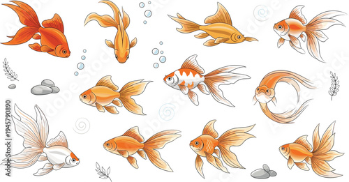 Elegant Goldfish Collection with Flowing Fins and Swimming Poses, Decorative Aquarium Fish Vector Illustration Set with Bubbles and Water Elements