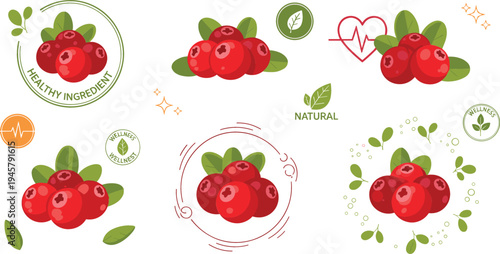 Lingonberry Healthy Food Labels and Badges Clipart Set with Fresh Red Berries, Leaves, Natural Ingredient Icons and Organic Nutrition Symbols
