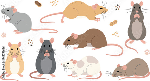 Cute Cartoon Mouse Collection with Different Poses and Colors, Adorable Rodent Animal Vector Illustration Set Isolated on White Background for Wildlife and Kids Design