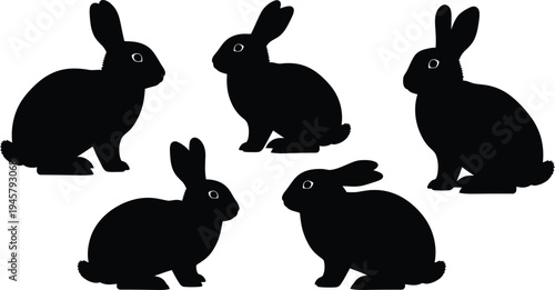 Five black rabbit silhouettes on white background