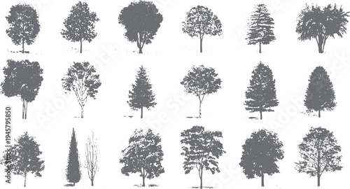 Collection of grey tree silhouettes various shapes and sizes on white background nature plant