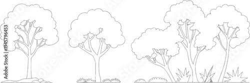Simple outline of three trees with bushy tops and visible branches on a white background with grass and rocks at the base