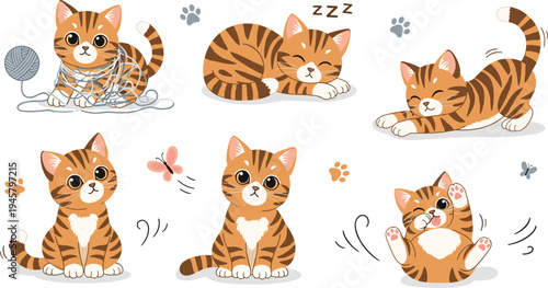 Cute tabby kitten cartoon set with playful and sleeping poses adorable domestic cat character collection vector illustration