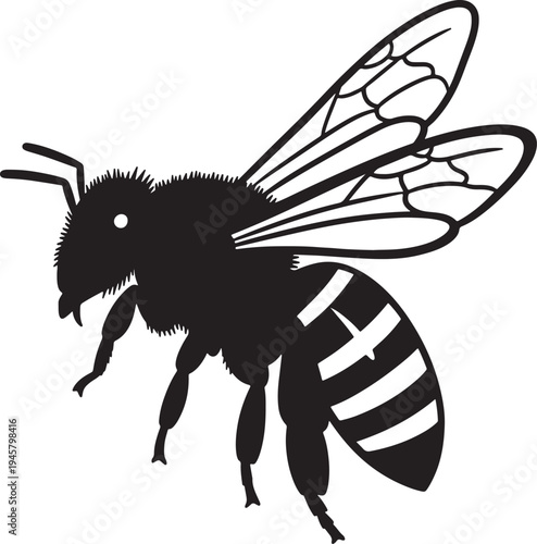 Black and white silhouette of a bee with striped abdomen and spread wings also transparent background