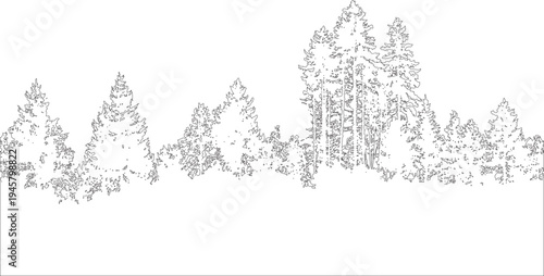 Black and white line of a dense forest with various evergreen trees and foliage pine