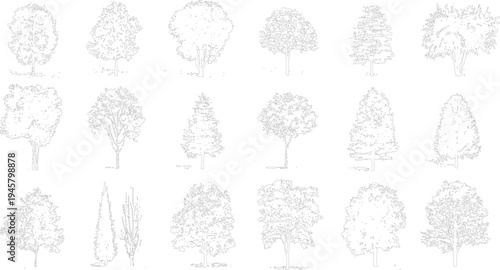 Collection of diverse tree outlines in a simple line style. Various shapes and sizes of trees are depicted with detailed foliage and trunks