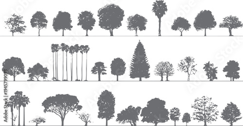 Collection of diverse grey tree silhouettes on white background. Various shapes and sizes of deciduous and palm trees displayed in three horizontal rows