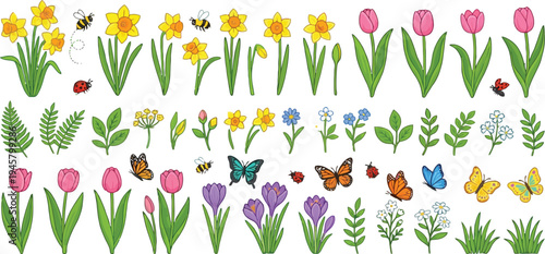 Spring flowers and insects collection including daffodils tulips crocuses forget-me-nots bees butterflies ladybugs green ferns isolated vector set