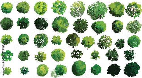 Diverse green trees viewed from above in a down perspective with varied shapes and shades