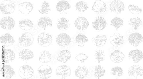Collection of black and white line tree with varied canopy shapes and trunk structures outline nature
